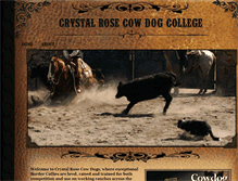 Tablet Screenshot of cowdogtrainingonline.com